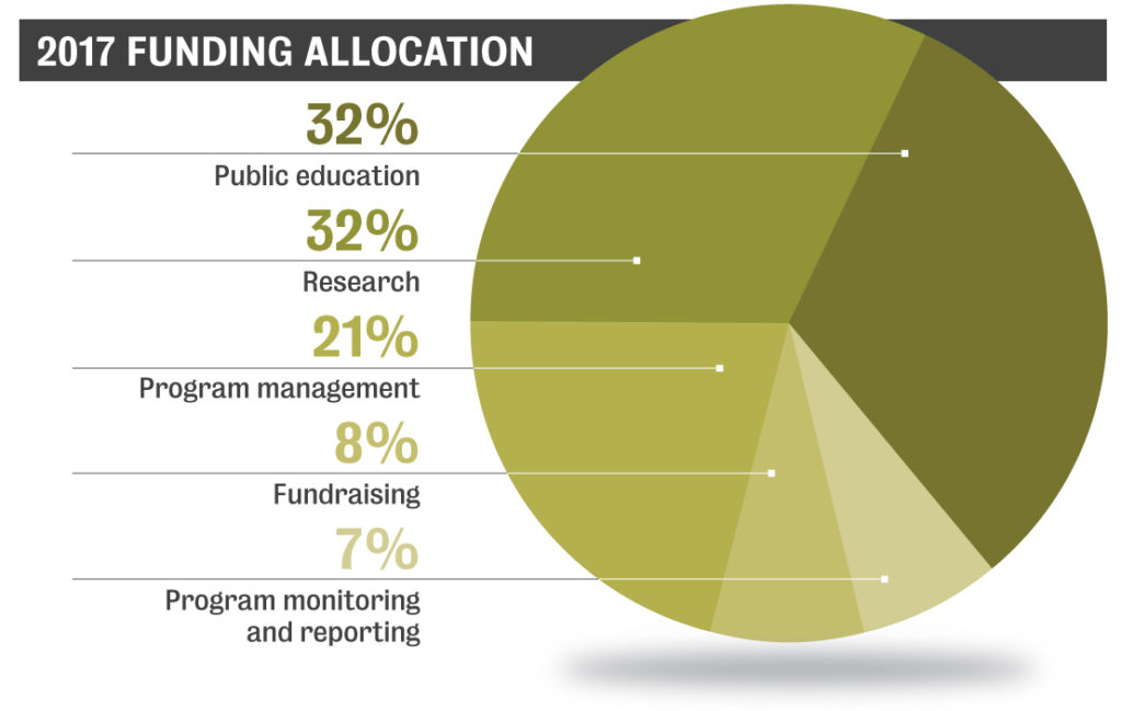 2017 Funding Allocation Pie Chart