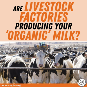 Livestock Factory Milk