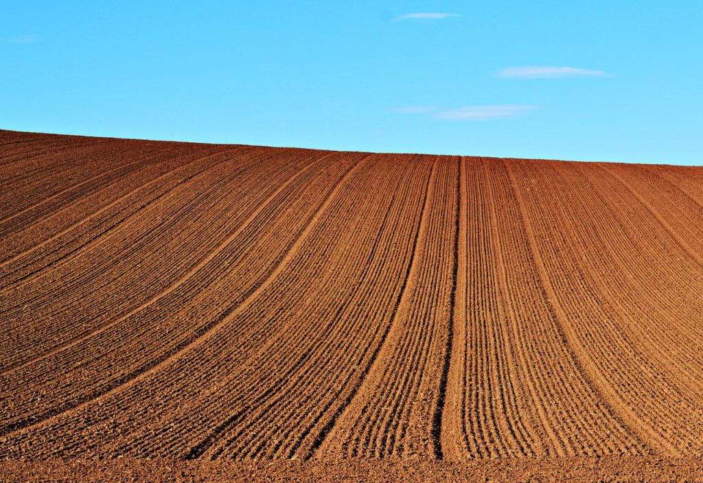 Bare Soil