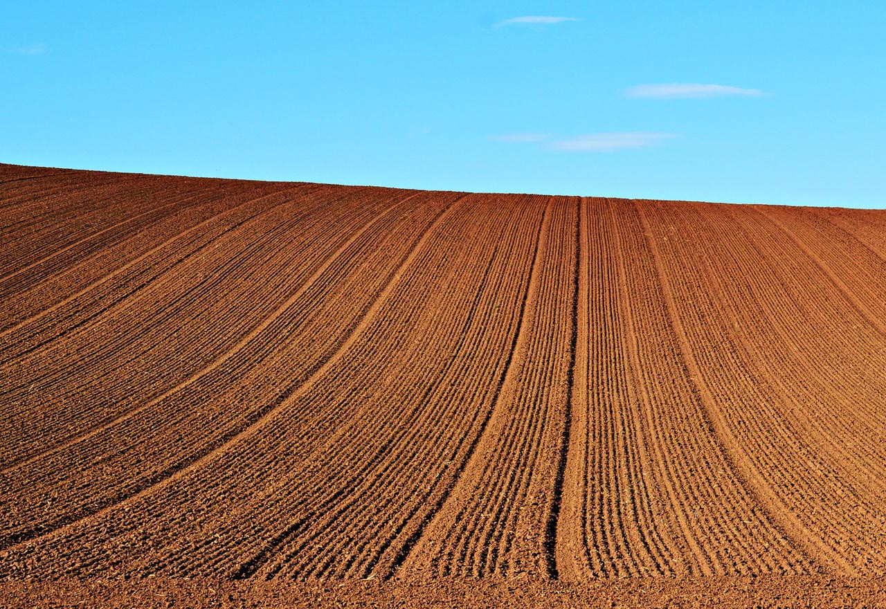 Bare Soil