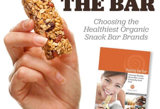 Snack Bars Report