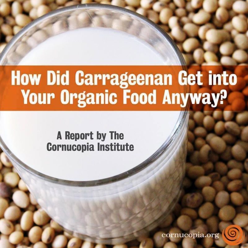Carrageenan Report and Buyer's Guide Cornucopia Institute