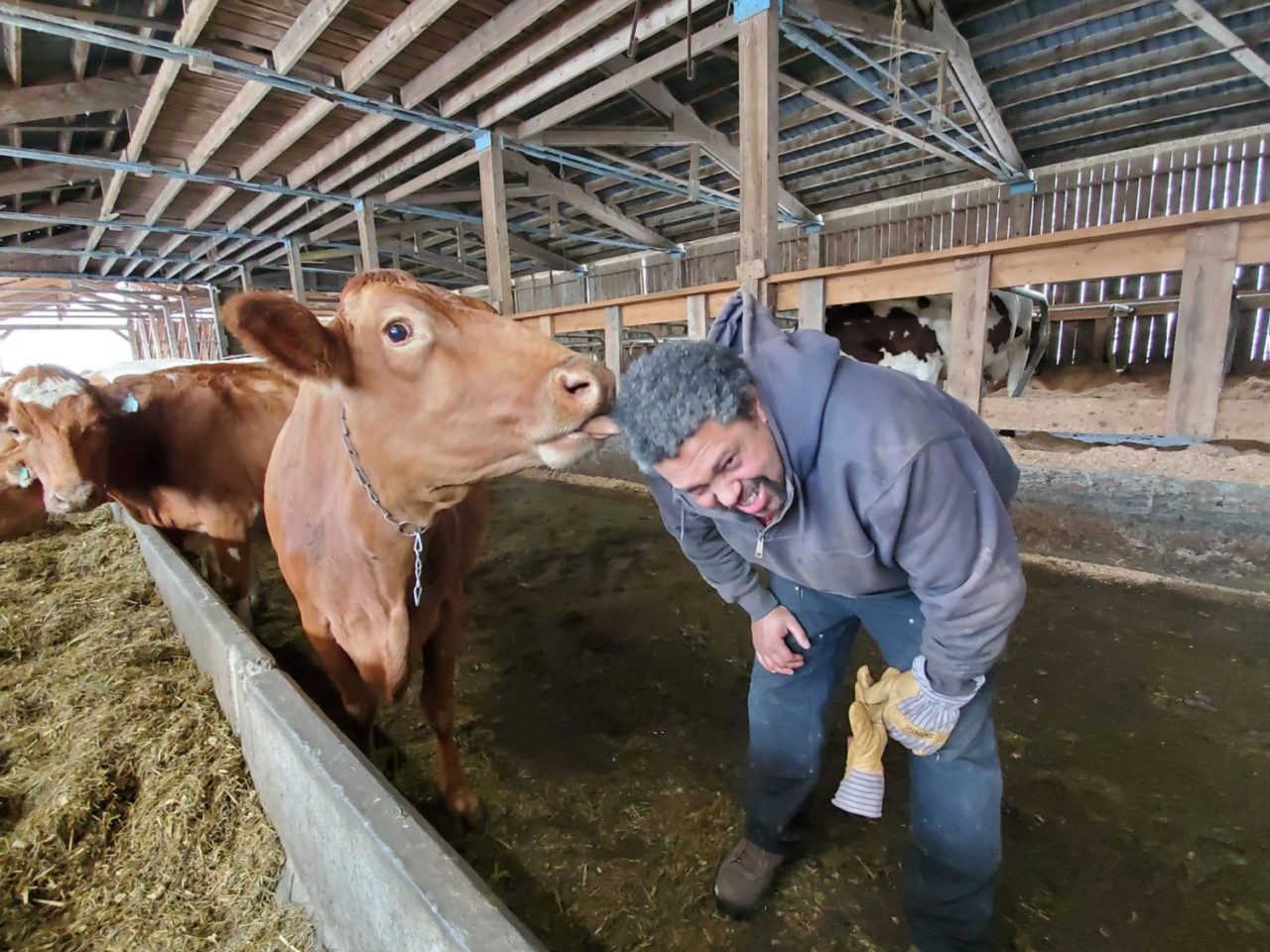 Earl Ransom Strafford - Organic Creamery