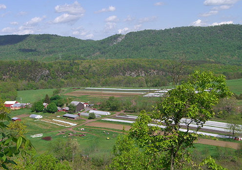 New Morning Farm