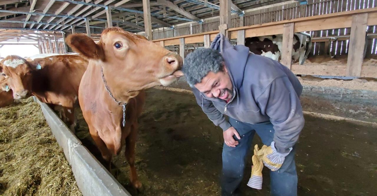 Strafford Organic Creamery