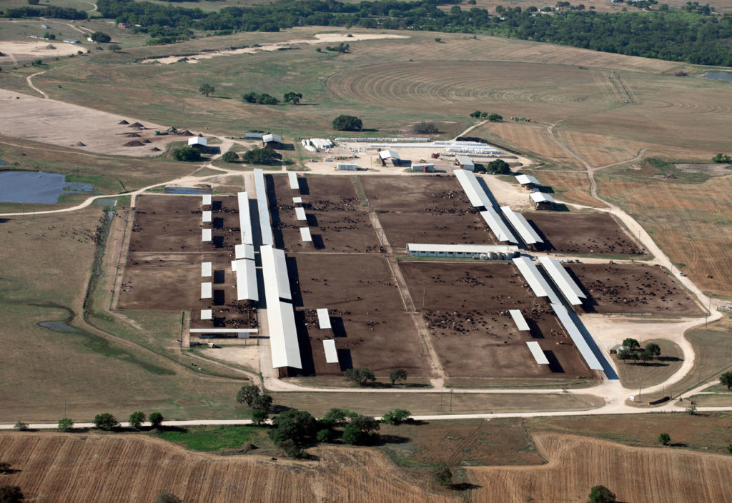 Aurora Dairy in Dublin, Texas (May 5, 2014)