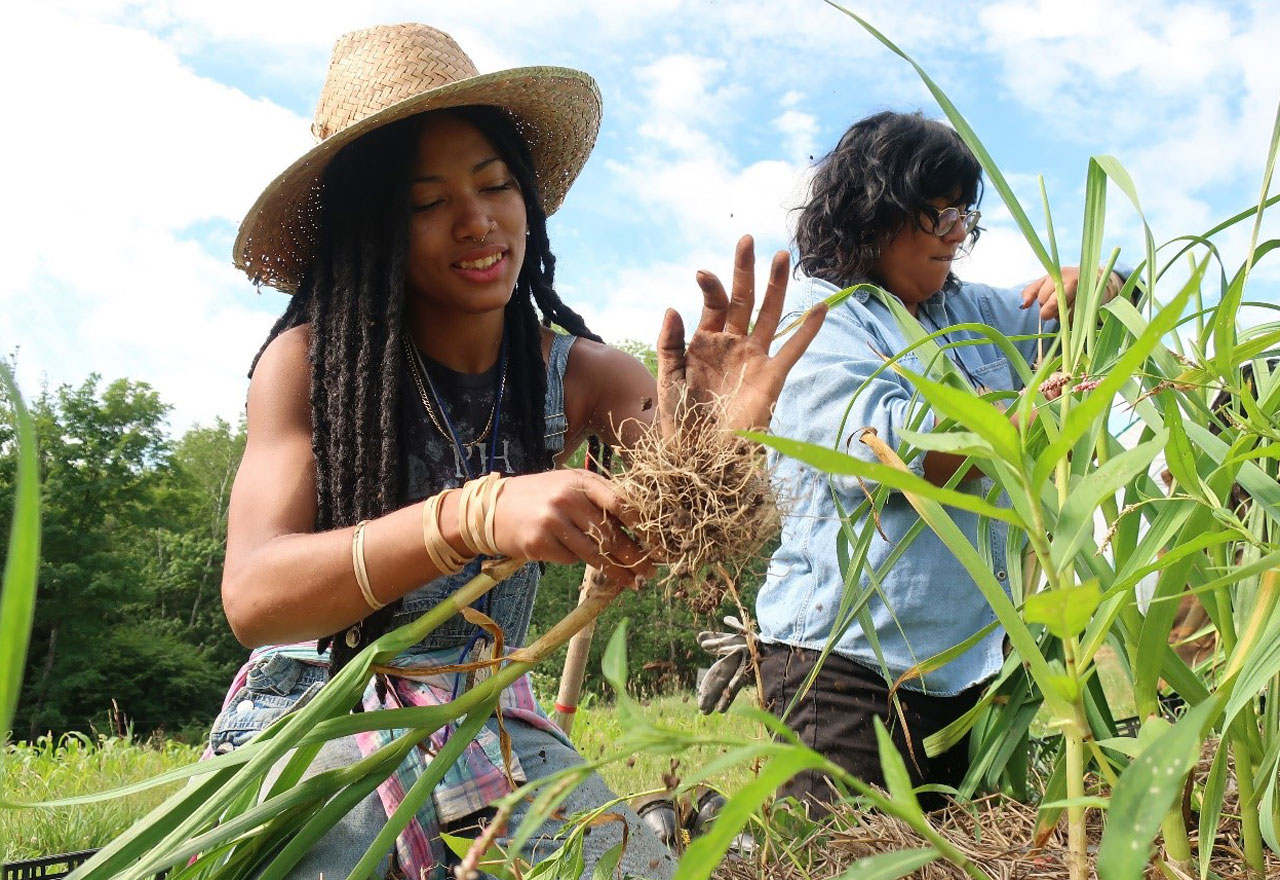 Farming While Black