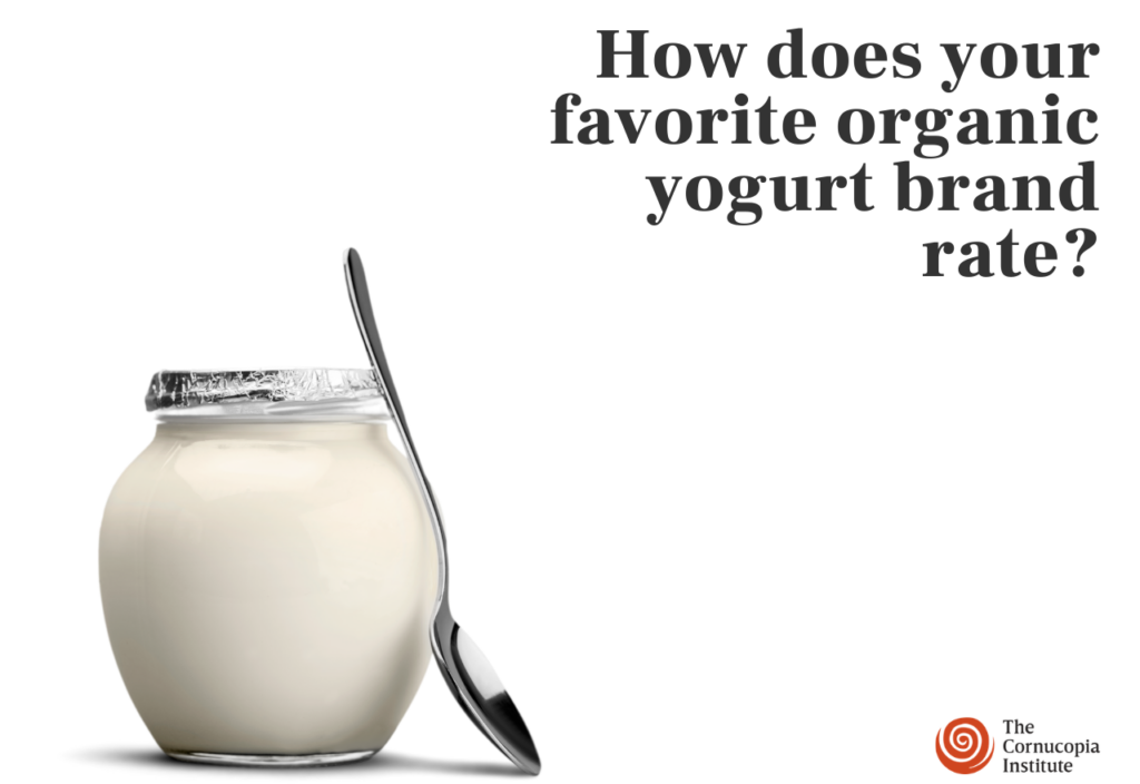 New_yogurt