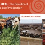 Organic Beef Report Cover