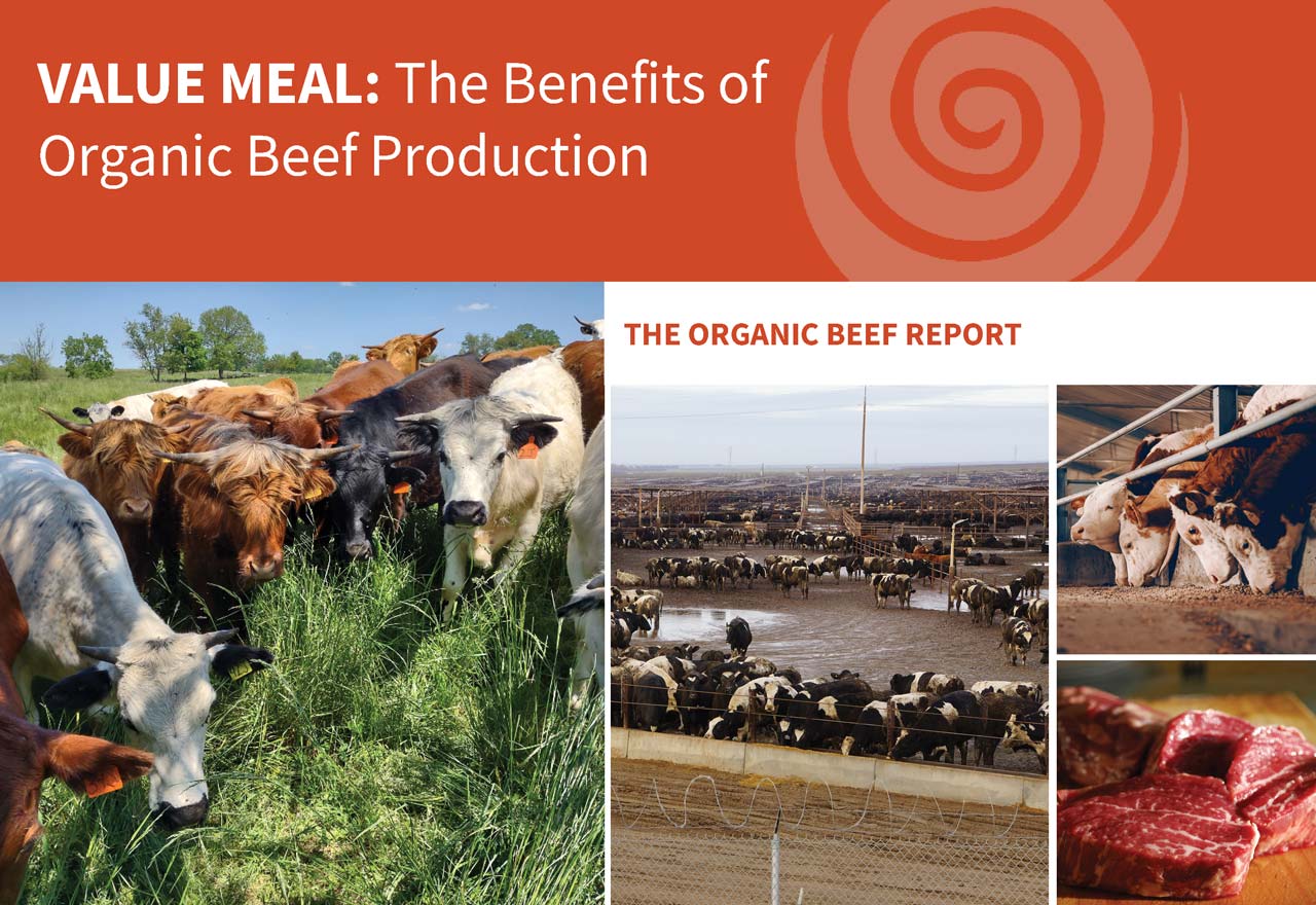 Organic Beef Report Cover
