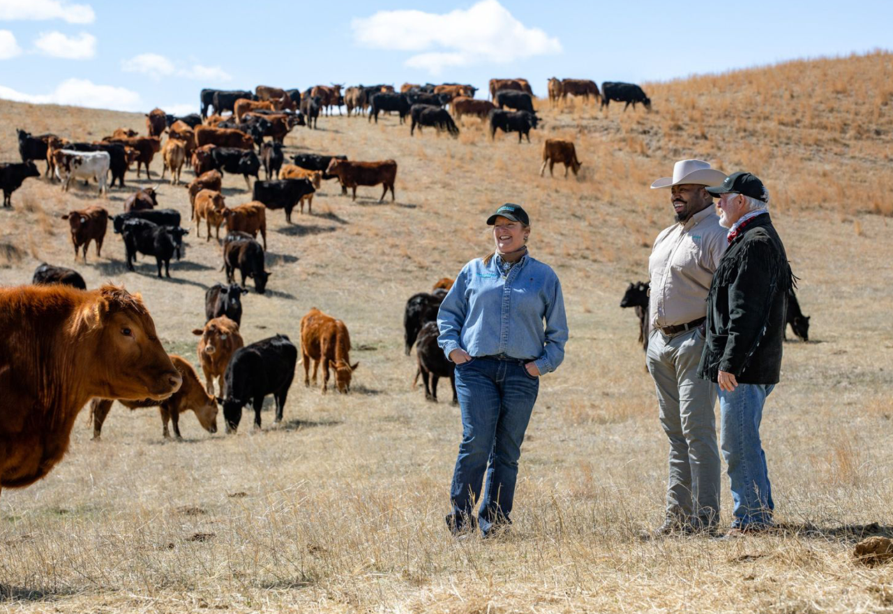 Farmers with cattle in the sand hills of nebraska
