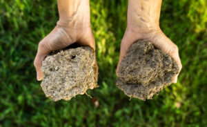 Two handfuls of different color soil