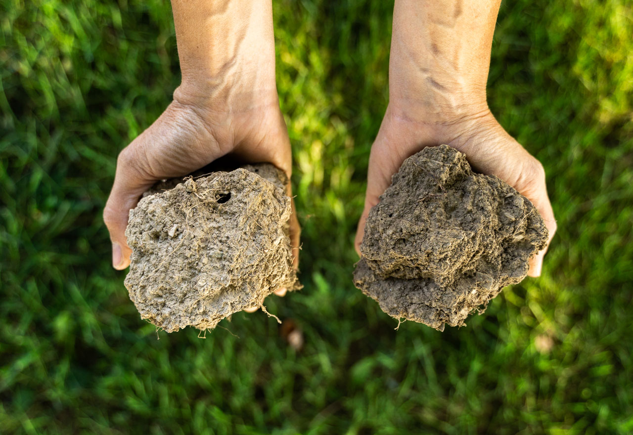 Two handfuls of different color soil