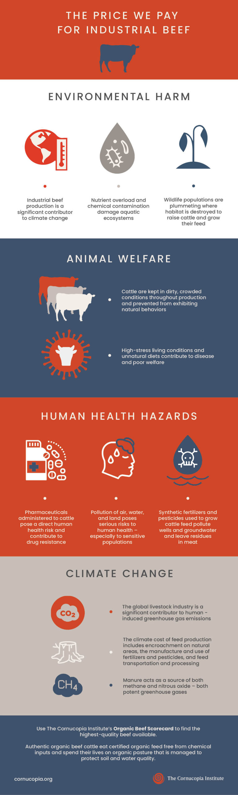 The Price We Pay for Industrial Beef - An infographic detailing the steep price the world pays