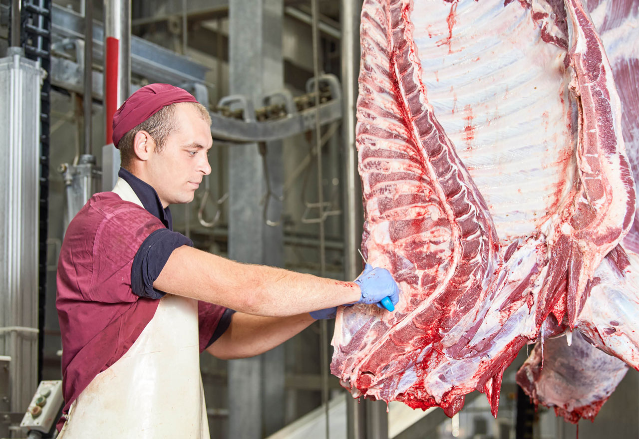 Butcher cutting up a beef carcass