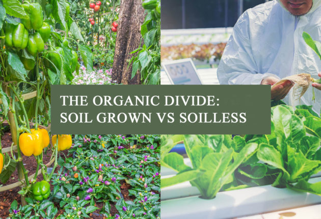 Image contrasting vegetables grown in soil on the left and vegetables grown hydroponically with a worker in the background on the right