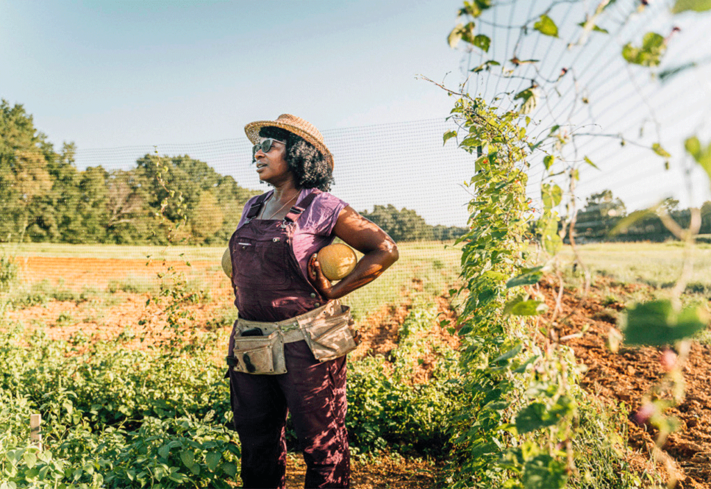 Farmer standing a field holding a squash