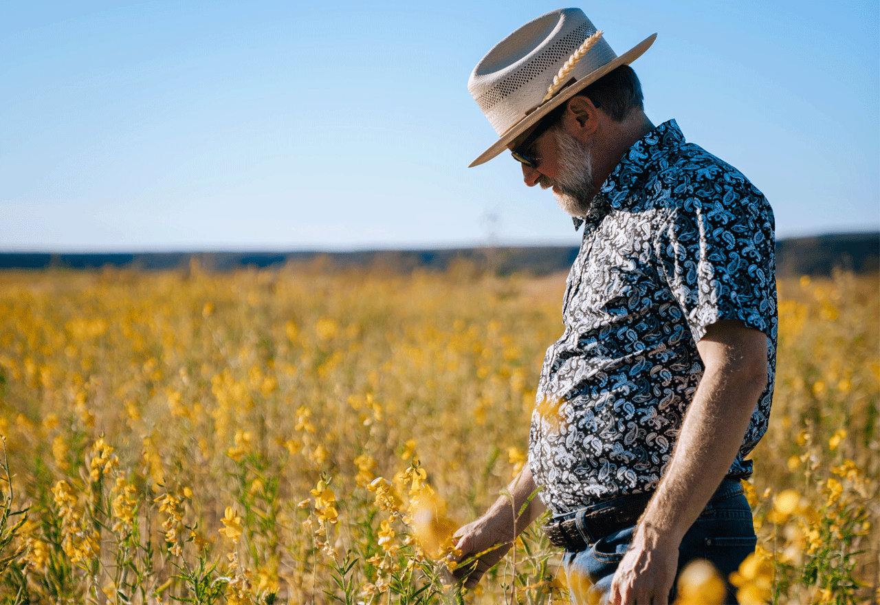 man inspecting a grain crop