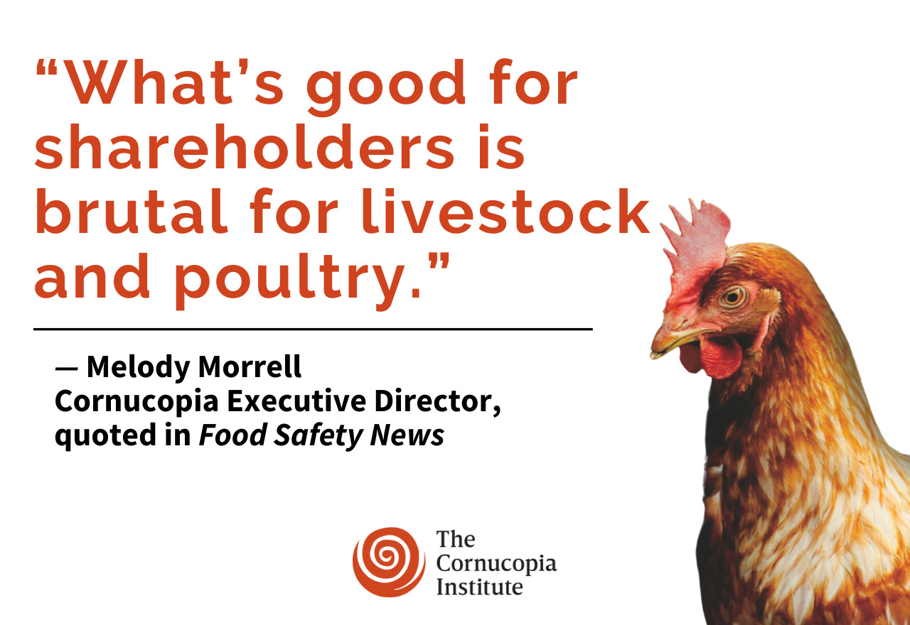 animal welfare Archives - Cornucopia Institute animal welfare Archives - Cornucopia Institute