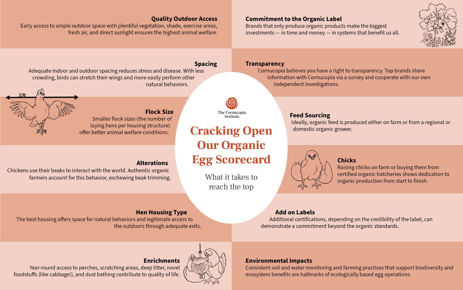 Cracking Open Our Egg Scorecard - Cornucopia Institute