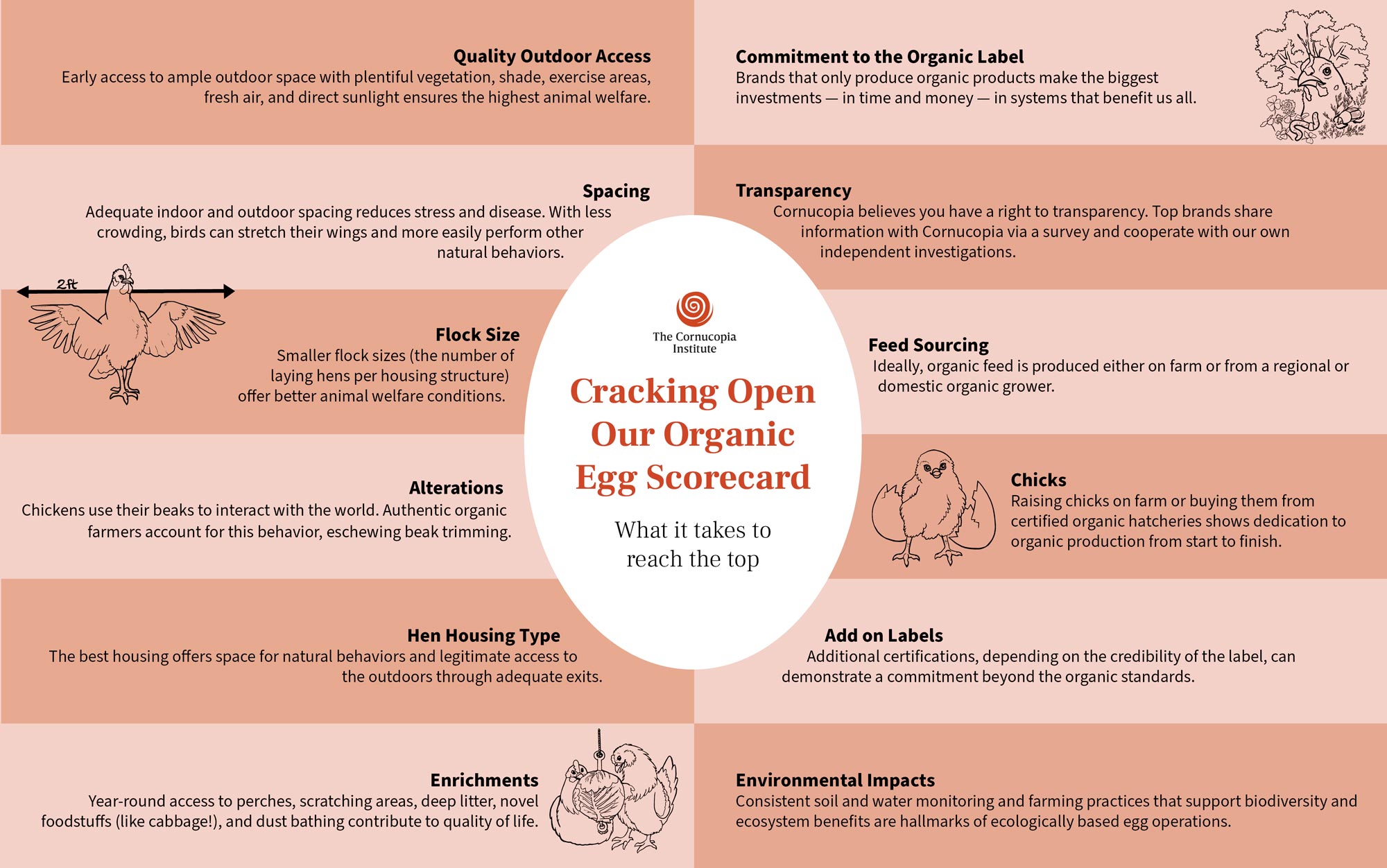 Cracking Open Our Egg Scorecard - Infographic