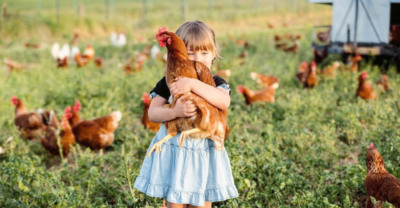 Happy Hens Truly Outdoors