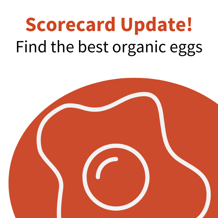 Scorecard Update! Find the best organic eggs.