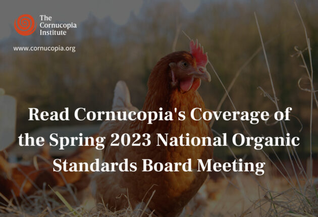 an image of a chicken in a field with text reading "read cornucopia's coverage of the Spring 2023 National Organic Standards Board Meeting"