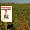 A sign in a field reading "danger, pesticides, keep out"