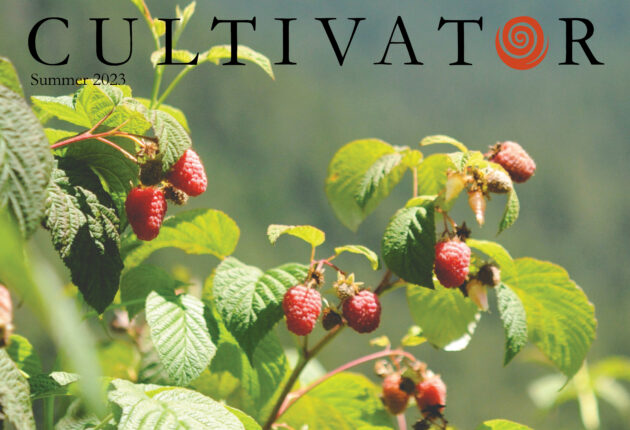 The Cultivator logo appears over an image of ripe raspberries