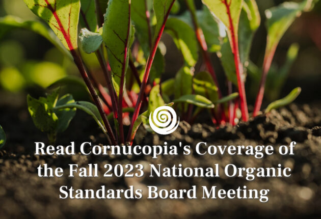 An image of beet tops emerging from the rich earth with the text "read Cornucopia's coverage of the fall 2023 national organic standards board meeting" laid over it