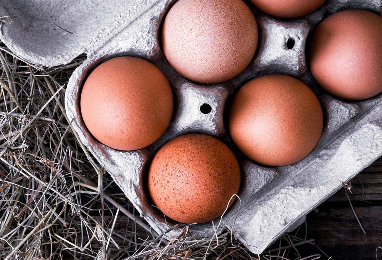 Photo of eggs