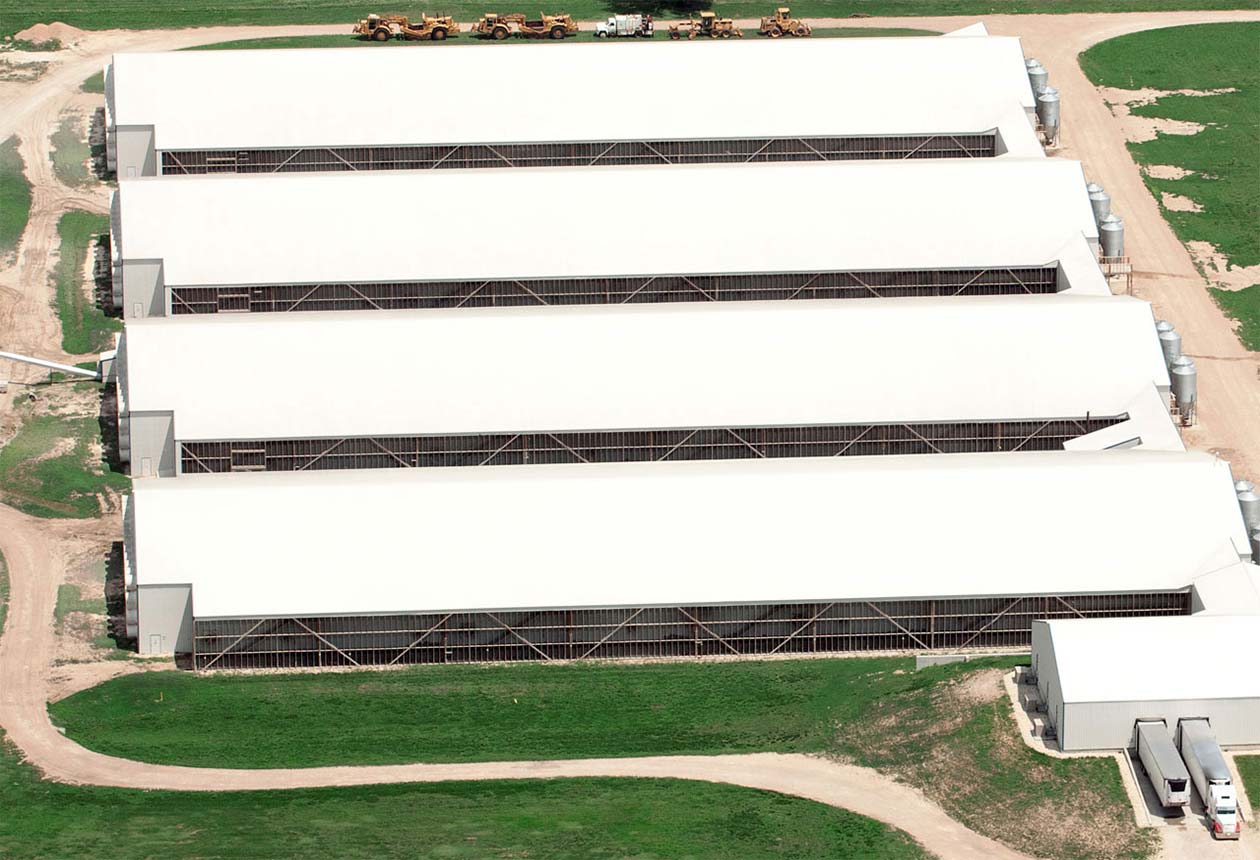 Aerial shot of poutry farm facilities
