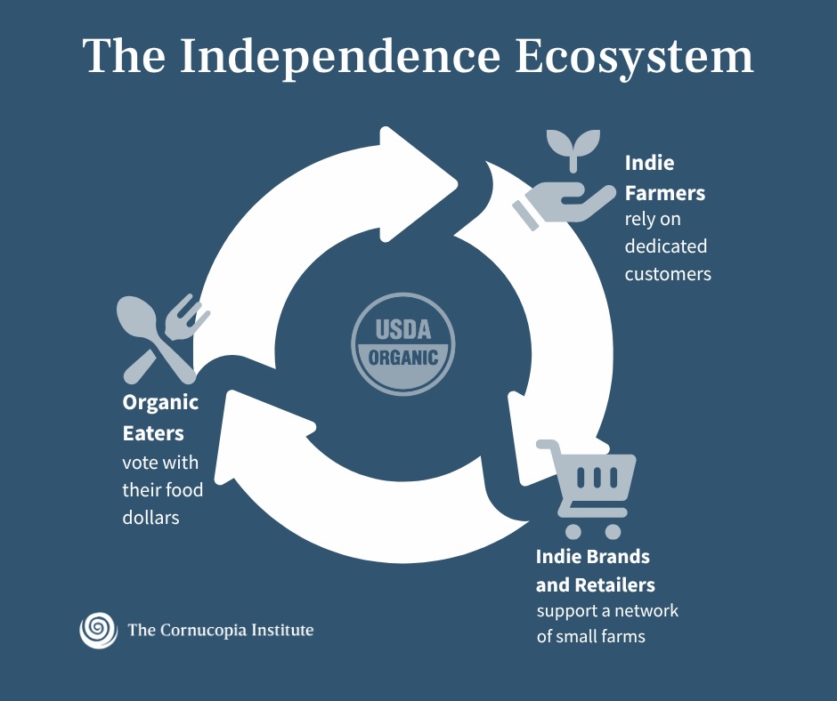 Diagram titled 'The Independence Ecosystem' showing a circular flow. It connects 'Indie Farmers', 'Indie Brands and Retailers', and 'Organic Eaters' in a cycle, with 'USDA ORGANIC' at the center.