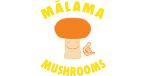 Malama mushrooms logo