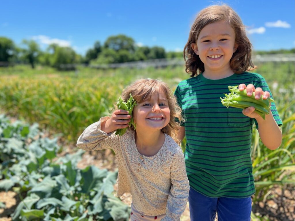 Two smiling children, a girl and a boy, holding green pea pods in a sunny garden.