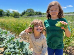 Two smiling children, a girl and a boy, holding green pea pods in a sunny garden.