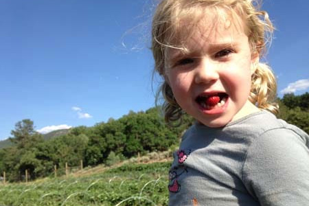 A young girl with blonde hair, wearing a grey shirt, holds a red strawberry in her mouth while standing in a green field under a clear blue sky.