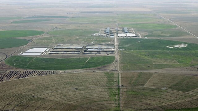 Aurora Coldwater – Stratford, TX