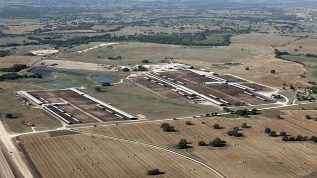 Overview of the two feedlots. It’s important to note that virtually all the surrounding fields, which could be used for pasture, have been recently cut and baled for hay. There is effectively no pasture available to these animals. These feedlots are certified organic by Quality Assurance International. Aurora Dublin – Dublin, TX