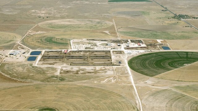 Although there were no cows out when these photographs were taken, there are some partial center pivots that look like they might have been grazed in the past. It appears that there is woefully inadequate pasture available to these animals, not remotely meeting the minimum required by the grazing requirements for the number of cows being managed. Much of this irrigated ground would not qualify as pasture, and these photos were taken early in the grazing season. Hilltop LLC – Boehning Dairy – Earth, TX