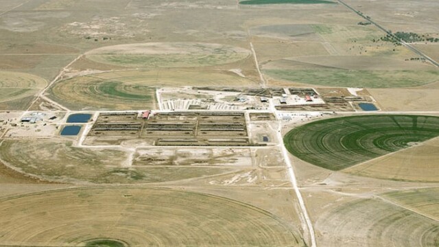 Hilltop LLC – Boehning Dairy – Earth, TX