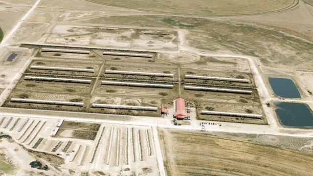 Overview of the main feedlot and milking facility. Hilltop LLC – Boehning Dairy – Earth, TX