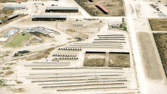 Hilltop LLC – Boehning Dairy – Earth, TX