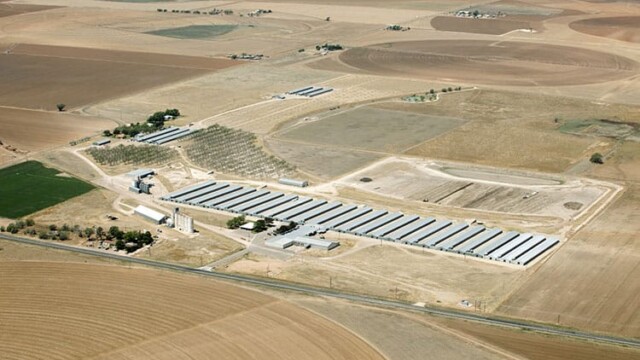 Overview. Idalou Egg Ranch – Idalou, TX