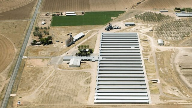 Overview. Idalou Egg Ranch – Idalou, TX