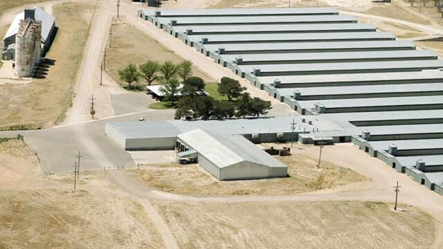 Overview. Idalou Egg Ranch – Idalou, TX