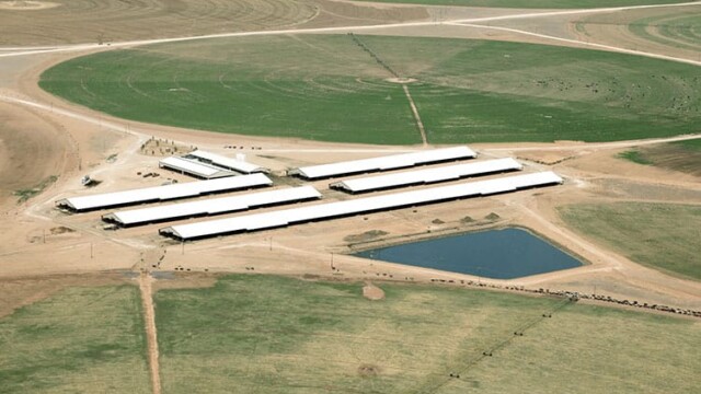 One of the milking facilities/freestyle buildings. Natural Prairie – Channing, TX