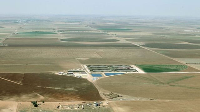 Overview – no cows out. Only a very small amount of irrigated pasture available for large herd. Redland Dairy – Farwell, TX