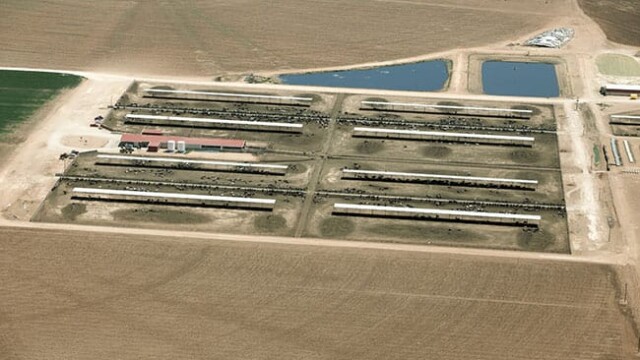 Redland Dairy – Farwell, TX